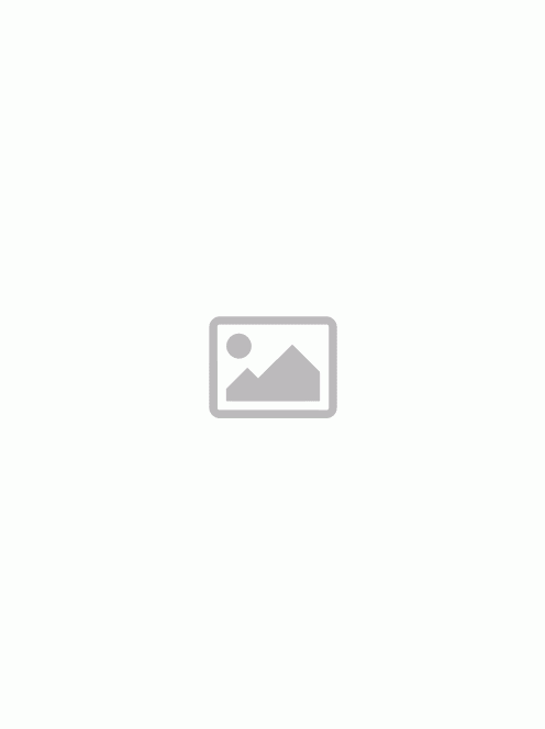 Kudo Lamb & Rice Mini Adult | 3 kg